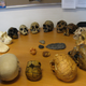 Illustration for article titled Can you name the stages of human evolution in this circle of skulls?